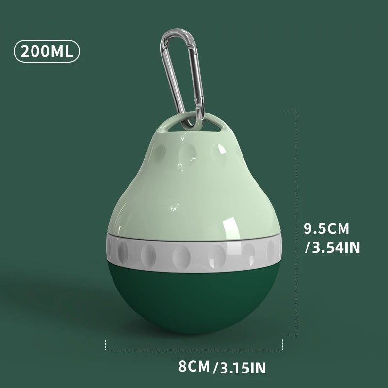 Teardrop Travel Water Bottle