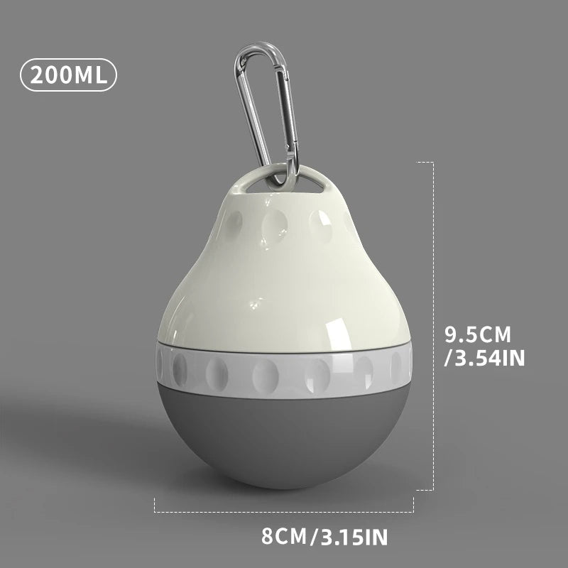 Teardrop Travel Water Bottle