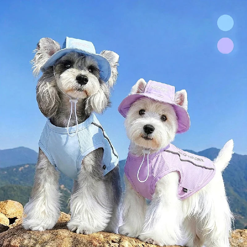 Cooling Dog Vest Set