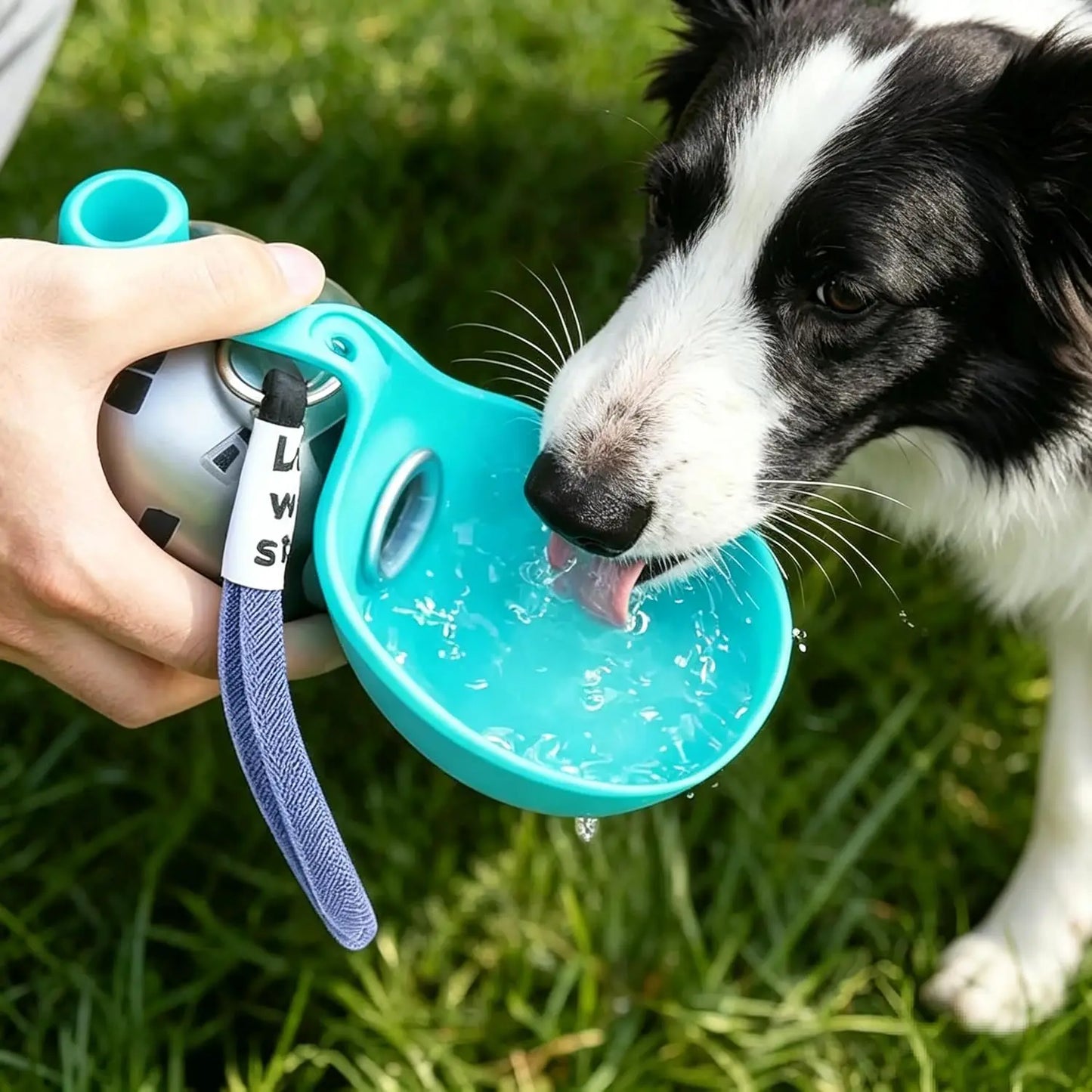 Travel Dog Water Bottle